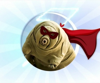 Replay Tfou d'Info du 29 juillet 2026