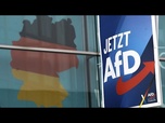 Replay Allemagne : la mort de sept candidats de l'AfD déclenche rumeurs et théories complotistes