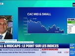 Replay Tout pour investir - Le placement à suivre : Small & Midcaps, le point sur les indices - 20/11