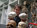 Replay 28 minutes - À la recherche du cerveau perdu