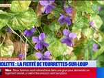 Replay Les longs formats des Locales - Violettes : escale florale à Tourrettes-sur-Loup