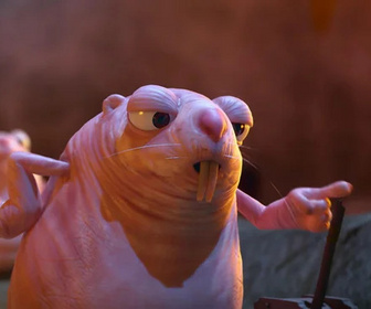 Replay Les as de la jungle à la rescousse - 20/12/2025