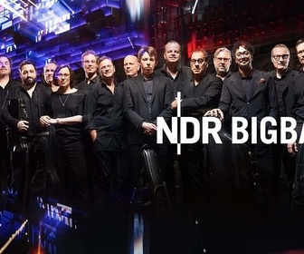 Replay Elbjazz Festival 2024 - NDR Bigband feat. Lenine & Martin Fondse : The Bridge