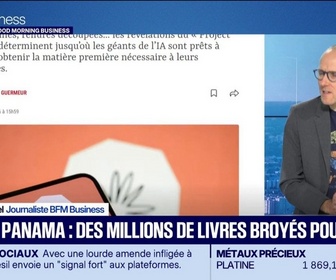 Replay Good Morning Business - Projet Panama : des millions de livres broyés pour l'IA