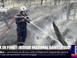 Replay 20H BFM - Feux de forêt: risque maximal dans le sud de la France