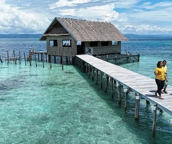 Replay Valoriser la protection de la nature - Bonnes nouvelles de la planète
