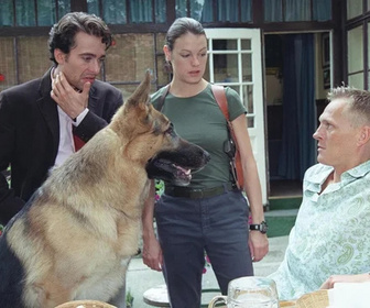 Replay Rex, chien flic - 31/08/2026