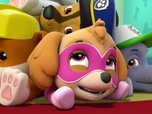 Replay Paw Patrol, la Pat'Patrouille - Le festival de cinéma
