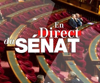 Replay En direct du Sénat - Réforme des retraites : suspension ou simple décalage ?