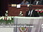 Replay Journal De L'afrique