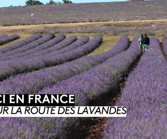 Replay ICI en France - Sur la route des lavandes