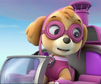 Replay Paw Patrol, la Pat'Patrouille - S01 E10 - La course en montgolfière