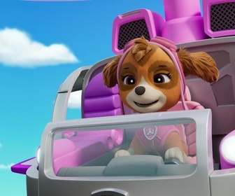 Replay Paw Patrol, la Pat'Patrouille - Le robot-canard géant