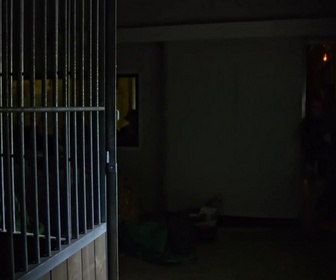 Replay Zoo, le défi de demain - Le planning se resserre