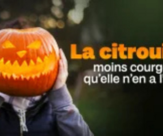 Replay La citrouille, moins courge qu'elle n'en a l'air