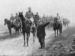 Replay 28 minutes - L'histoire vue du côté des animaux