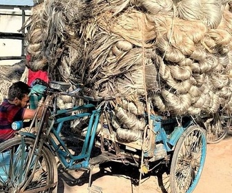 Replay Les cultivateurs de la fibre d'or au Bangladesh