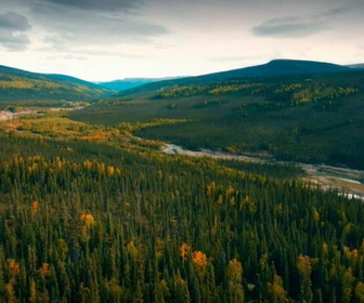 Replay Alaska, la ruée vers l'or - S14E20 - Le nouveau joujou de Parker