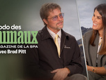 Replay L'hebdo des animaux - S1E18 - Episode 18 avec Brad Pitt