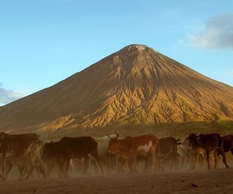 Replay Tanzanie, un volcan en terre massaï - Des volcans et des hommes