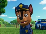 Replay Paw Patrol, la Pat'Patrouille - Mission Détectives : La grande course à vélo