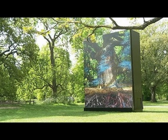 Replay Le chêne historique des Kew Gardens réinventé en œuvre d'art numérique