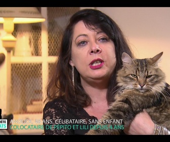 Replay La vie secrète des chats - S2E3 - Itinéraire d'un chat trop gâté