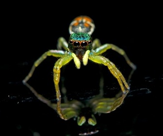 Replay La vie en fluo