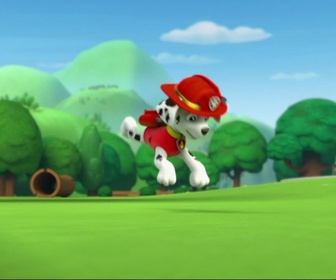 Replay Paw Patrol, la Pat'Patrouille - Le tricycle