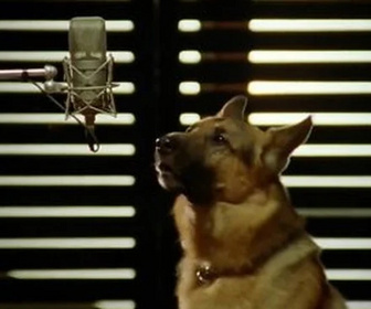 Replay Rex, chien flic - Droits d'auteurs