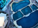 Replay La magie disparue des zoos marins ? - Le dessous des images