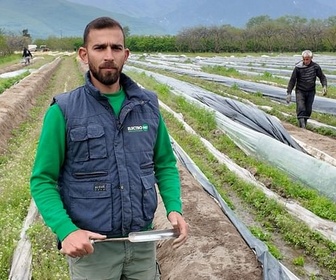Replay L'asperge grecque défie la concurrence - ARTE Regards
