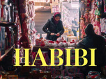 Replay Habibi
