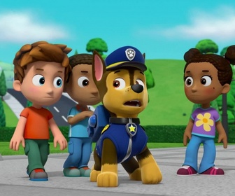 Replay Paw Patrol, la Pat'Patrouille - La fête de la grande vallée