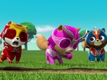 Replay Compilation Paw Patrol, la Pat'Patrouille 6