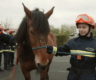 Replay À l'école des pompiers - 28/10/2025