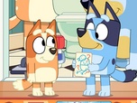 Replay Bluey - S2 E6 - Bingo !