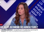 Replay BFM Politique - Mercosur: L'élevage français peut mourir en France, estime Sarah Knafo, eurodéputée Reconquête