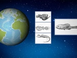 Replay ARTE JUNIOR Le magazine - Pourquoi en savons-nous plus sur l'espace que sur les grands fonds marins ?