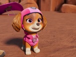 Replay Paw Patrol, la Pat'Patrouille - Sur la route avec Stella : Un concert dans le désert