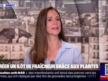 Replay C'est votre vie - Voici comment créer un ilôt de fraicheur dans votre jardin grâce aux plantes