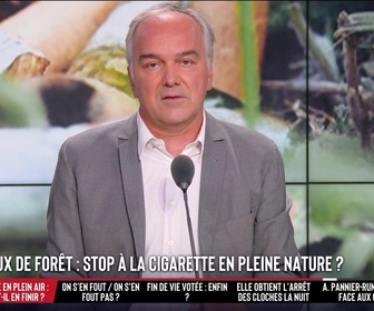 Replay Les Grandes Gueules - Feux de forêt : stop à la clope en pleine nature ?