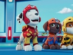 Replay Paw Patrol, la Pat'Patrouille - La Pat' Patrouille des Airs : Une cascade trop extrême