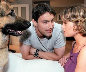 Replay Rex, chien flic - 21/08/2026