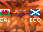 Replay Rugby - Tournoi des 6 nations - Pays de Galles / Ecosse