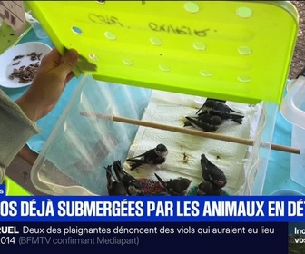 Replay BFM Première prématinale - Focus Régions - 03/07