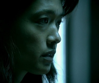 Replay Hawaii 5-0 - S2 E11 - Pahele