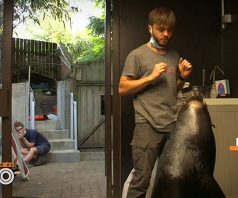 Replay Une saison au zoo - S12 E15