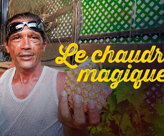 Replay Outremer.ledoc - Le chaudron magique
