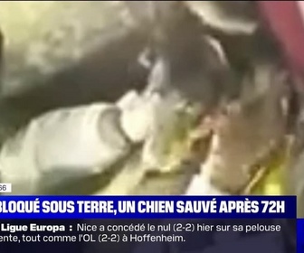 Replay L'image du jour - Pyrénées-Orientales: un chien de chasse piégé dans une cavité sauvé au bout de 72h